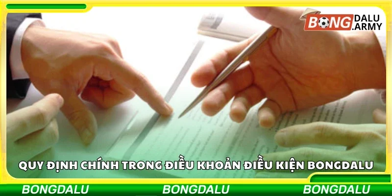 Các quy định chính trong điều khoản điều kiện Bongdalu