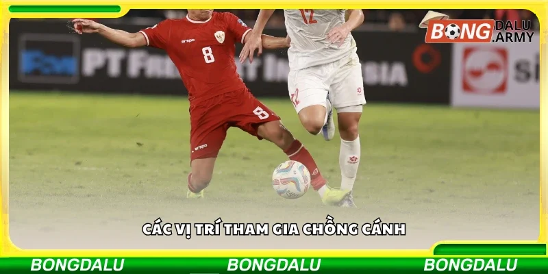 Một số vị trí tham gia chồng cánh