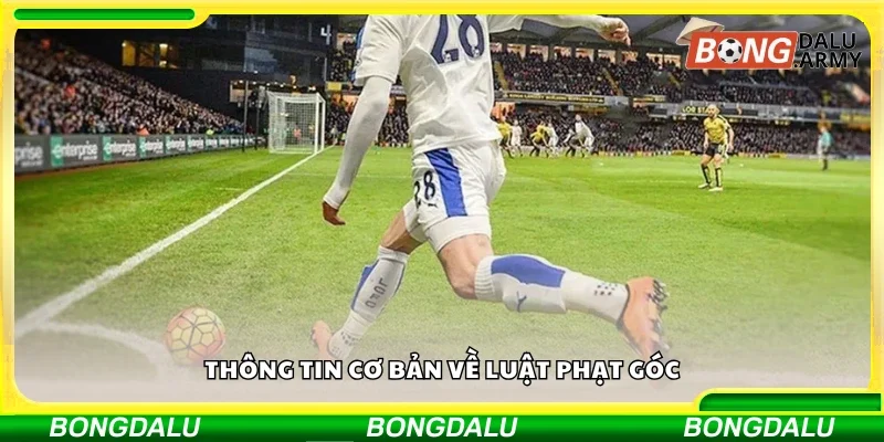 Thông tin cơ bản về luật phạt góc