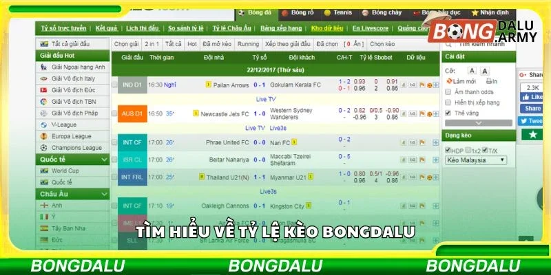 Tìm hiểu về tỷ lệ kèo bongdalu