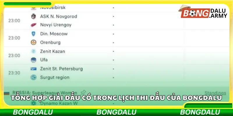 Tổng hợp giải đấu có trong lịch thi đấu của Bongdalu