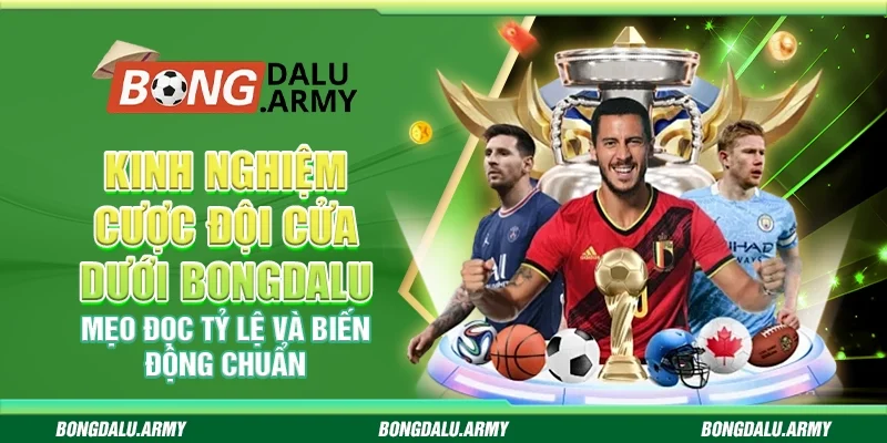 Kinh nghiệm cược đội cửa dưới Bongdalu – Mẹo đọc tỷ lệ và biến động chuẩn