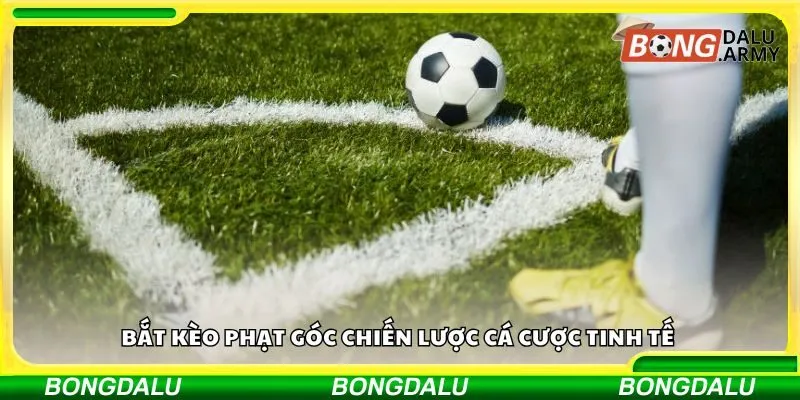 Bắt kèo phạt góc chiến lược cá cược tinh tế 
