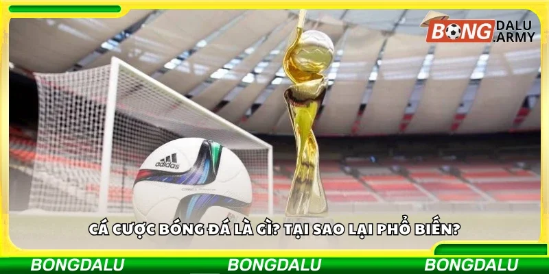 Cá cược bóng đá là gì?