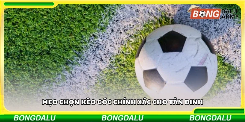 Các mẹo chọn kèo góc chính xác cho tân binh