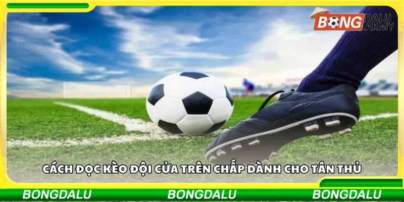 Cách đọc kèo đội cửa trên chấp dành cho tân thủ