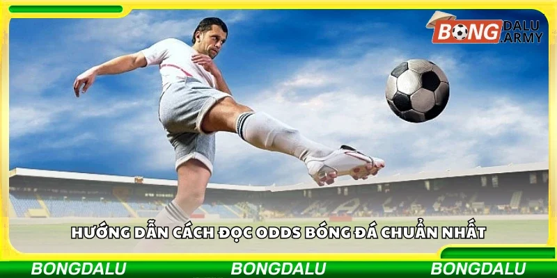 Cách đọc odds bóng đá chuẩn nhất