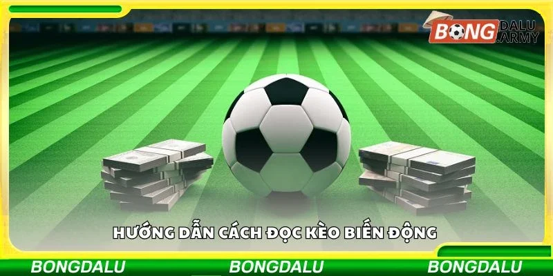 Hướng dẫn cách đọc kèo biến động 