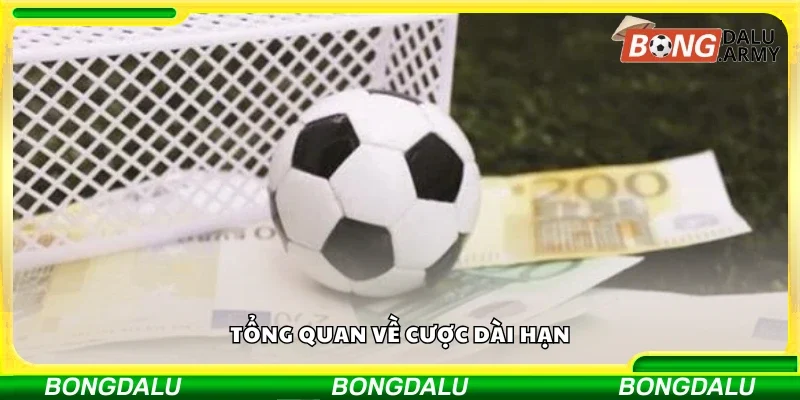 Khám phá tổng quan về cược dài hạn