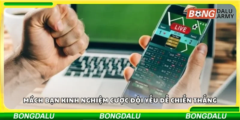 Mách bạn kinh nghiệm cược đội yếu dễ chiến thắng