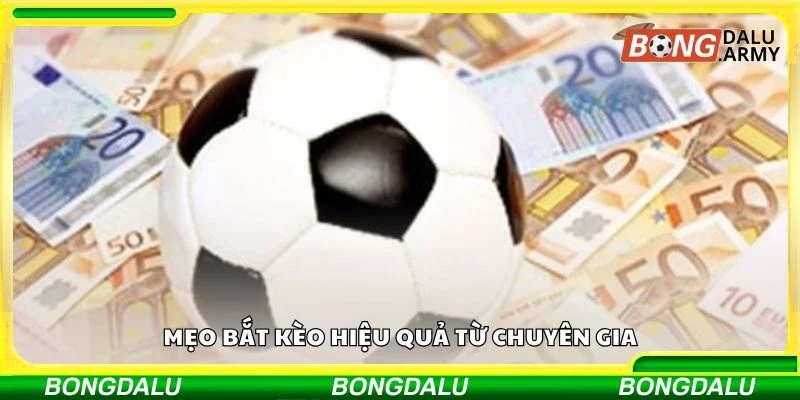 Mẹo bắt kèo hiệu quả từ chuyên gia