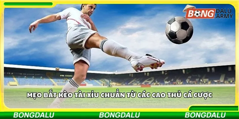 Mẹo bắt kèo tài xỉu chuẩn từ các cao thủ cá cược