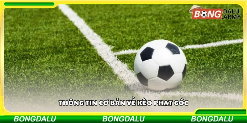Thông tin cơ bản về kèo phạt góc