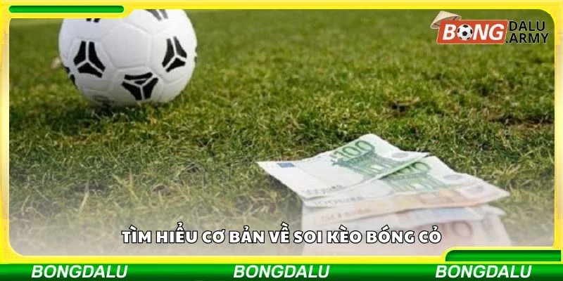 Tìm hiểu cơ bản về soi kèo bóng cỏ