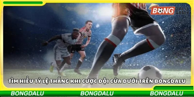 Tìm hiểu tỷ lệ thắng khi cược đội cửa dưới trên Bongdalu