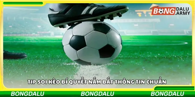 Tip soi kèo bí quyết nắm bắt thông tin chuẩn 