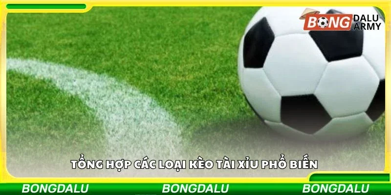 Tổng hợp các loại kèo tài xỉu phổ biến 