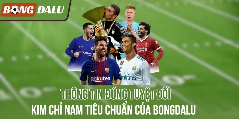 Bongdallu thống kê theo thời gian thực