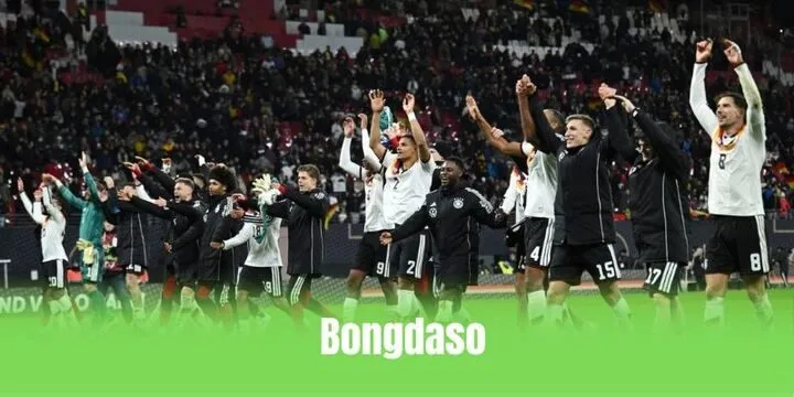 Bongdaso - Khám phá từ A đến Z trang tin soi kèo bóng đá