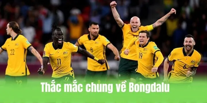 FAQ - thắc mắc chung về website Bongdalu cần nắm
